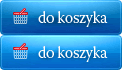 Dodaj do koszyka E-biznes jako sposób na sukces